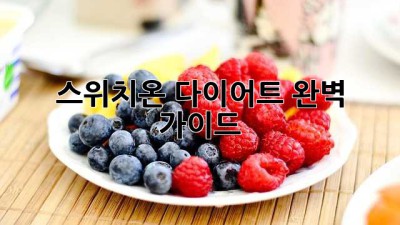 스위치온 다이어트: 완벽 가이드